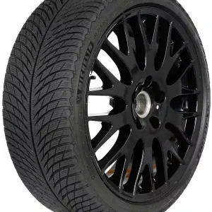 Zimní pneu Michelin 315/30R 21 105V XL PILOT ALPIN 5 AML,C,C,A Nejprodávanější