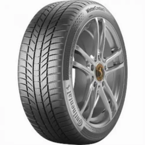 Doprava Zdarma Continental WINTER CONTACT TS 870 P 255/55R19 111V