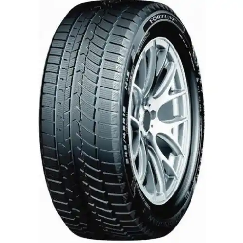 Akční Nabídka Fortune SNOWFUN FSR901 205/55R17 95H