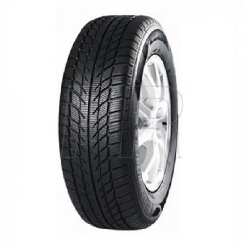 Goodride SW608 SNOWMASTER 205/50R17 93H Must-Have