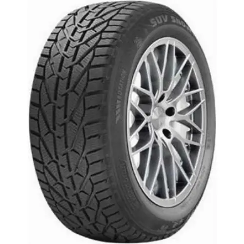 Dokud Zásoby Vydrží Kormoran SNOW 205/55R16 91T
