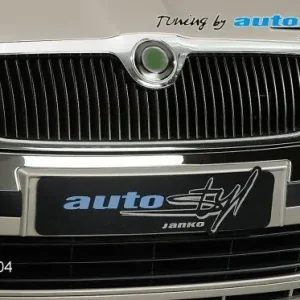 Chrom pod přední masku, Škoda Octavia II Ověřený