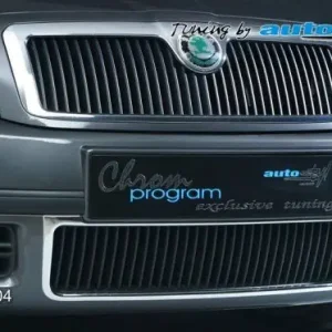 Rámeček chladiče (Škoda Superb) Odeslání Ihned