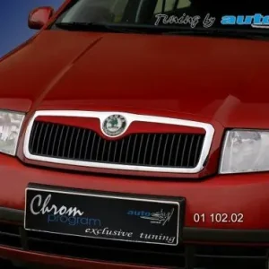 Cenově Výhodný Lišta masky - pro lak (Škoda Fabia)